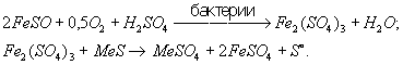 Бактериальное выщелачивание i0 (БСЭ).gif