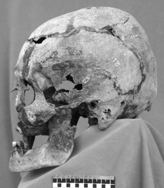 Файл:Tsar family expertise skulls 2a.jpg