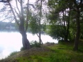 IMGP0117.jpg