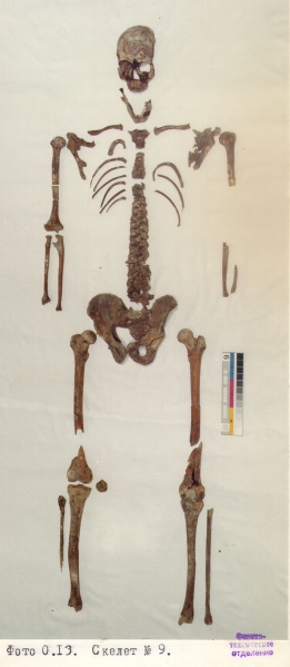 Файл:Tsar family expertise Ck9.jpg