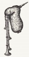 Волынка (МСЭ).jpg