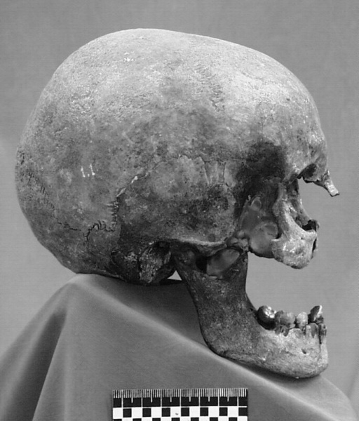 Файл:Tsar family expertise skulls 1a.jpg