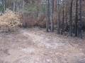 Пожары 2010 20 августа 16.JPG
