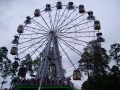 PICT0039.jpg