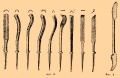 Резное искусство b53 470-2.jpg