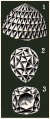 Бриллианты(МСЭ).jpg